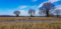 Paysage Fontainbleau