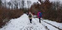 Rando Hivers