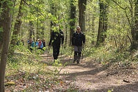 Marche Nordique avec Rando Evasion 91